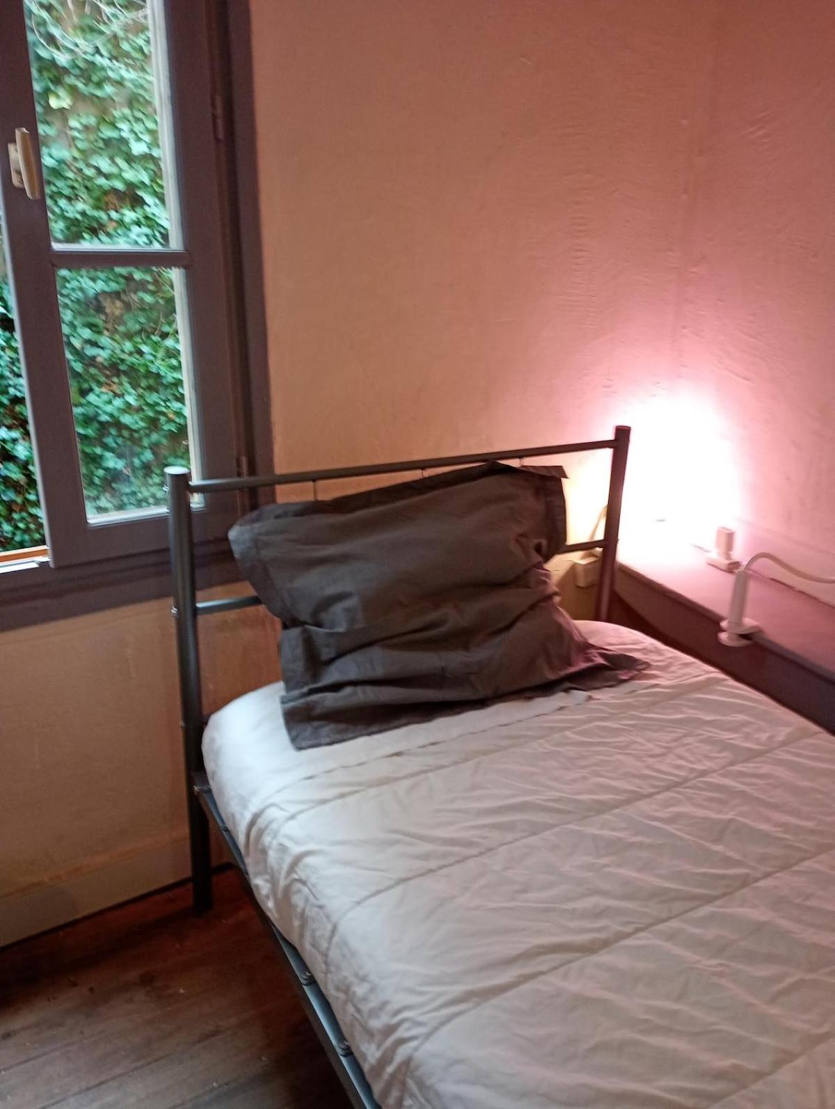 Duplex Center Thiers - Clermont-Ferrand - Lyon - Free Parking - Self-Check-In Apartman Kültér fotó